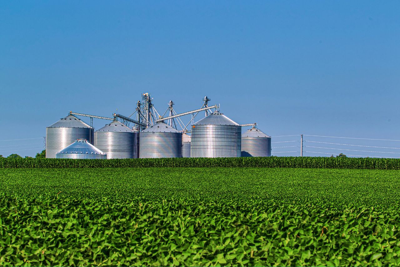 Estrutura de silos metálicos em área rural, cercada por vasta plantação verde sob céu azul claro. A imagem retrata o setor agroindustrial.