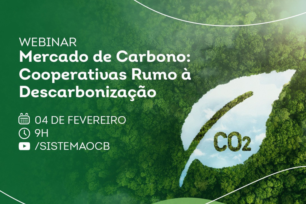 Webinar debate Mercado de Carbono