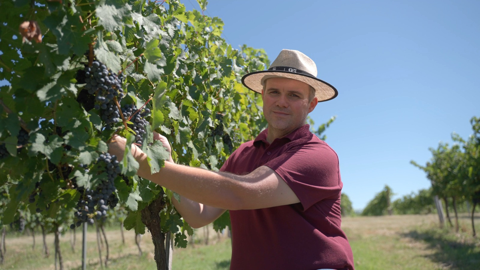  Nova Aliança projeta R$ 10 milhões em investimentos para 2026