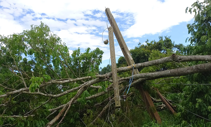 Certaja já restabeleceu a energia em 96% das residências afetadas pelo temporal 