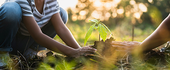 Cooperativa Santa Clara inicia em agosto a 7ª edição do Projeto Social Plantando o Bem