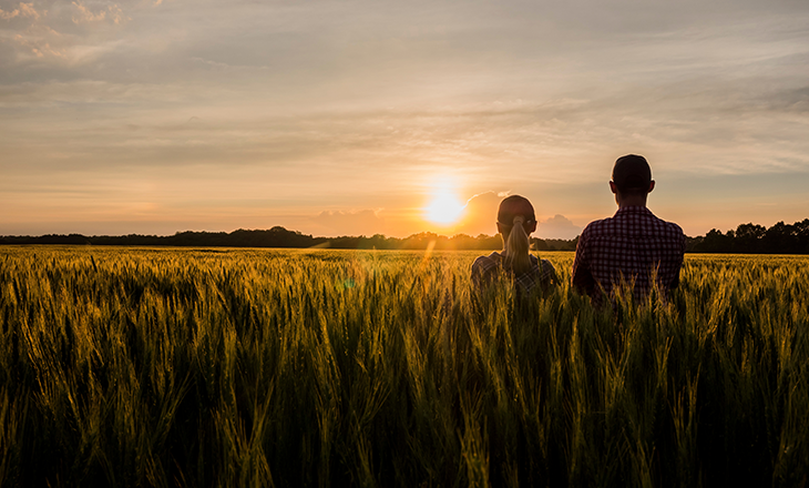 Sistema OCB apoia pesquisa que traz o olhar do brasileiro sobre o agronegócio