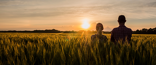 Sistema OCB apoia pesquisa que traz o olhar do brasileiro sobre o agronegócio