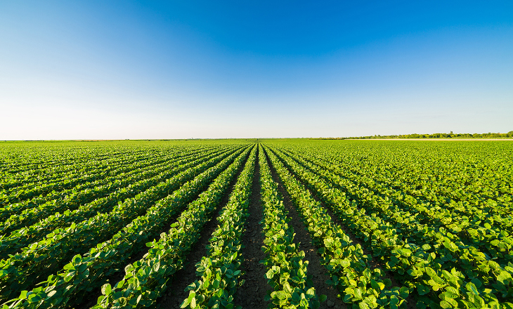 Live do Ramo Agro está com inscrições abertas