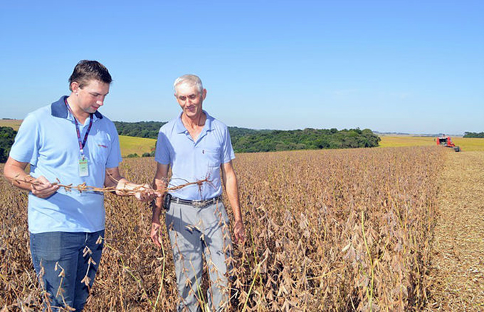 Cooperativas devem receber 45% da soja produzida no Rio Grande do Sul