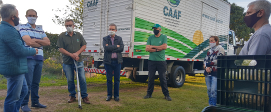 Alimentos da agricultura familiar são entregues a entidades assistenciais de Caxias do Sul   