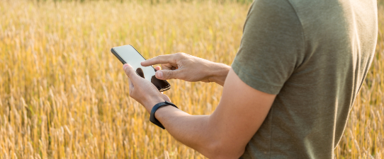 Sancionadas leis da conectividade rural