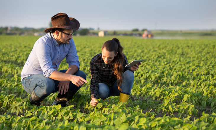 Sicredi está entre as instituições que mais liberaram recursos ao agronegócio