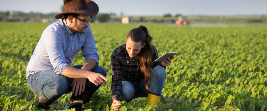 Sicredi está entre as instituições que mais liberaram recursos ao agronegócio