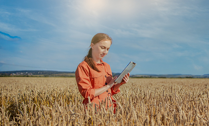 Sicredi vence prêmio de inovação no agronegócio