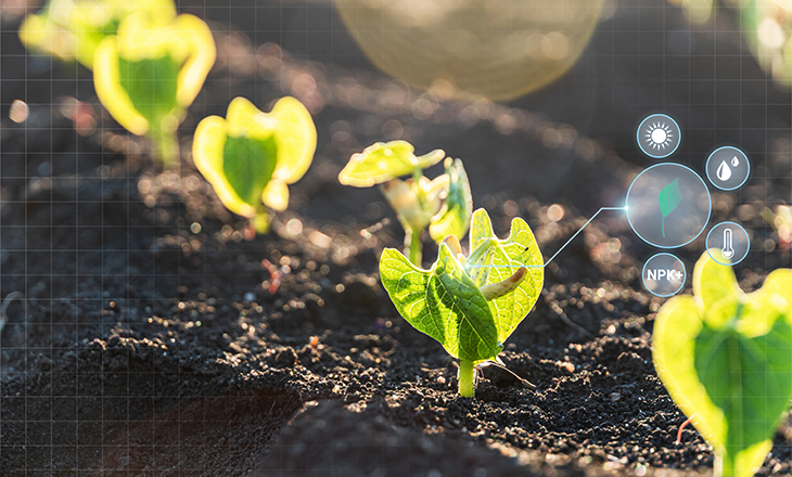 Agricultura de precisão avança na digitalização