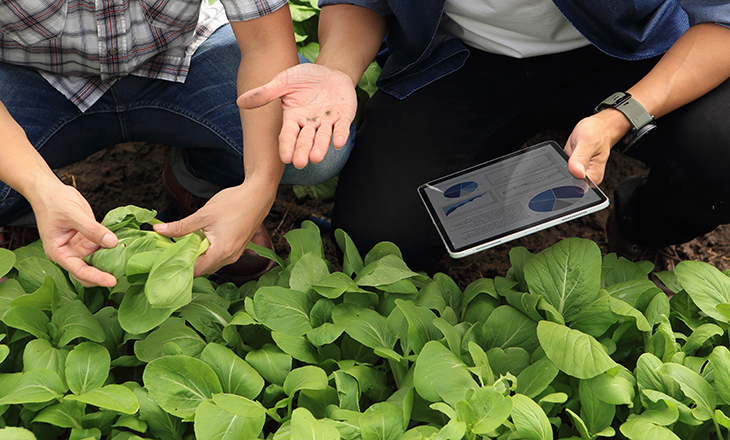 Agricultura de Precisão da Cotriel já está em 50 mil hectares