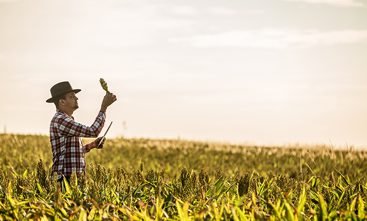 CCGL adiciona setor de Sistemas Integrados de Produção Agropecuária em suas pesquisas