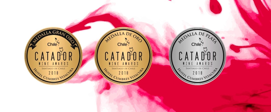 Cooperativas gaúchas premiadas no Catad’Or Wine Awards