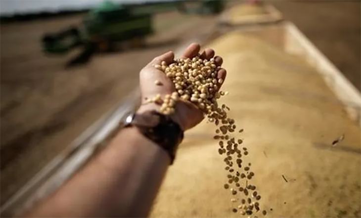 Faturamento das cooperativas agropecuárias cresceu 20% em 2022