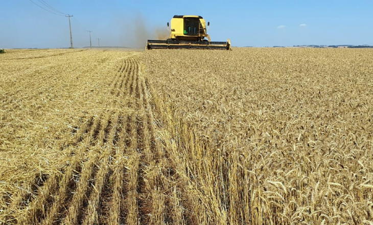 FecoAgro/RS confirma bom desempenho das cooperativas agropecuárias gaúchas