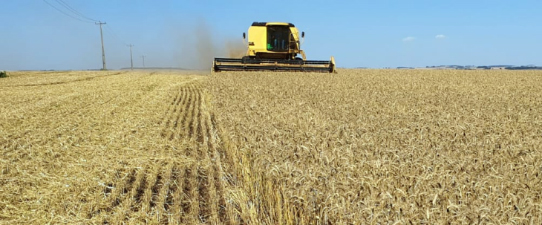 FecoAgro/RS confirma bom desempenho das cooperativas agropecuárias gaúchas