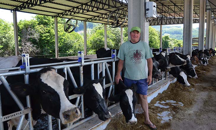 Energia trifásica da Certel alavanca produtividade leiteira