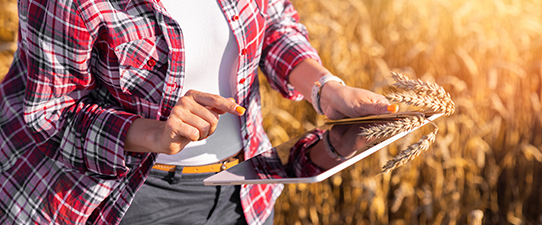 Diferenciais no estilo de gestão fortalecem participação da mulher no agro