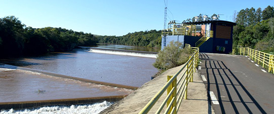 Ceriluz apresenta projetos em alusão ao Dia Mundial do Meio Ambiente