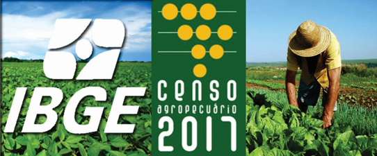 IBGE divulga resultados preliminares do Censo Agro 2017