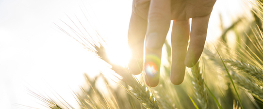 Confiança do Agronegócio encerra 1º trimestre com otimismo