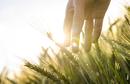 Confiança do Agronegócio encerra 1º trimestre com otimismo