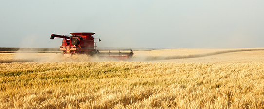 Índice de Confiança do Agronegócio cai 8,6 pontos percentuais no trimestre