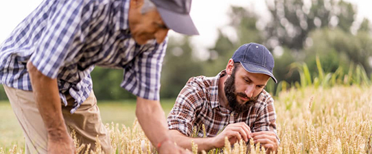 IC Agro segue em alta no 3º trimestre e marca 115,1 pontos