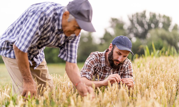 IC Agro segue em alta no 3º trimestre e marca 115,1 pontos