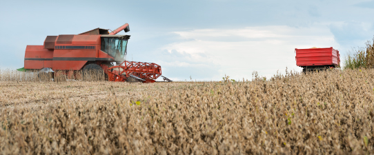 IC agro Atinge 100,3 pontos no 3º trimestre