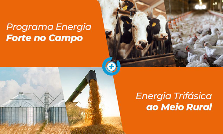 Terceira etapa do Energia Forte no Campo prevê investimentos R$ 31 milhões na área de atuação da Coprel