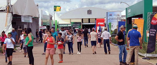 Cão Robô participará da 7ª ExpoAgro Cotricampo