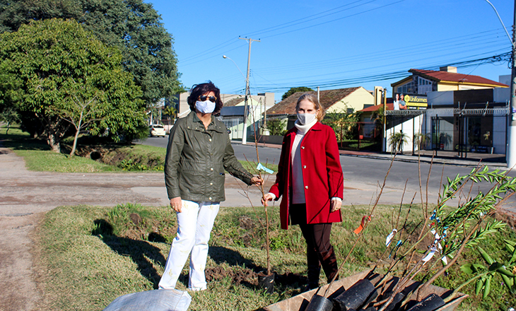 Unimed planta 50 árvores em Pelotas