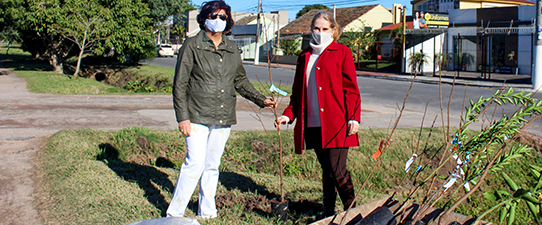 Unimed planta 50 árvores em Pelotas