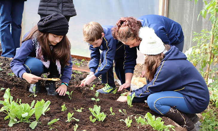 Plantando o Bem foca em aproveitamento dos alimentos