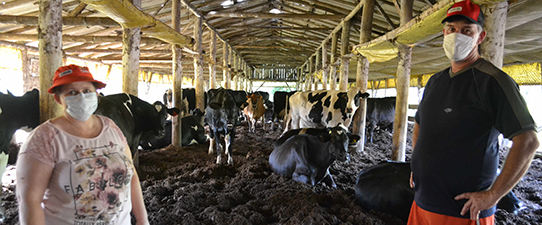 Programa Mais Leite Languiru bonifica produtores no período de entressafra