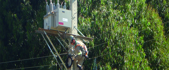 Religadores automáticos auxiliam nas redes de energia da Creral