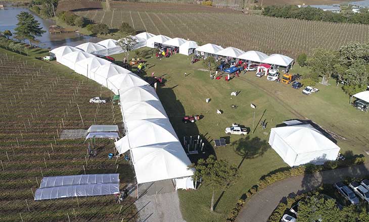 Vitis Aurora supera expectativas e reúne mais de 3,5 mil pessoas em Pinto Bandeira