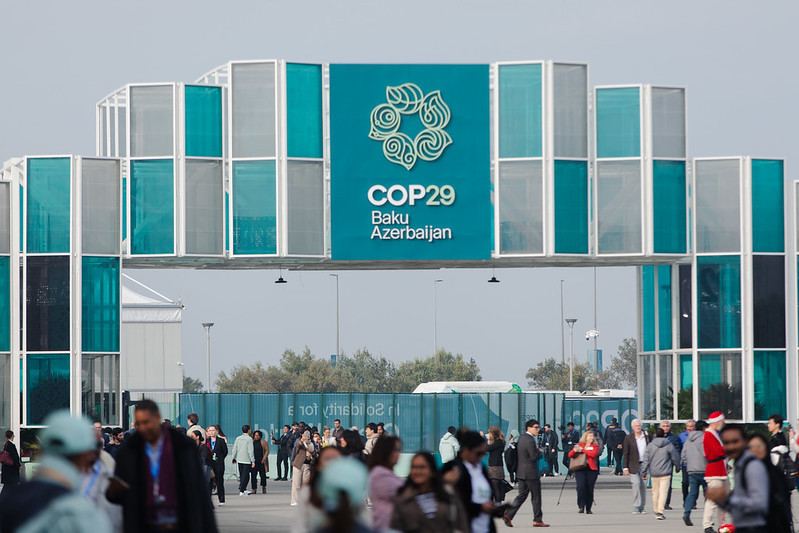 COP29: Brasil mostra força do cooperativismo na agricultura sustentável 