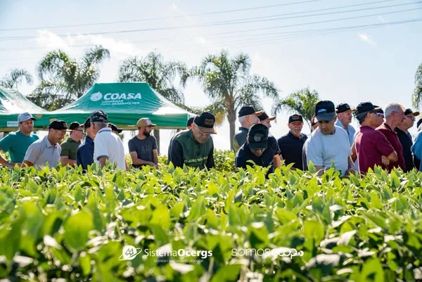 Dia de Campo da Coasa mobiliza 1,5 mil pessoas em Água Santa